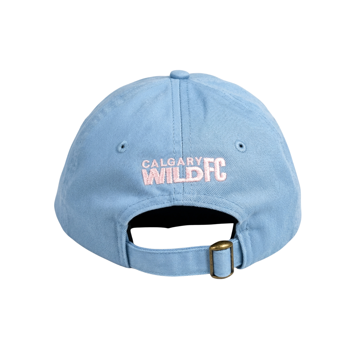 WILD FC DAD HAT