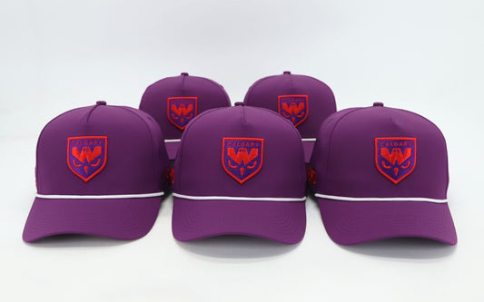 The Super Fan Hat
