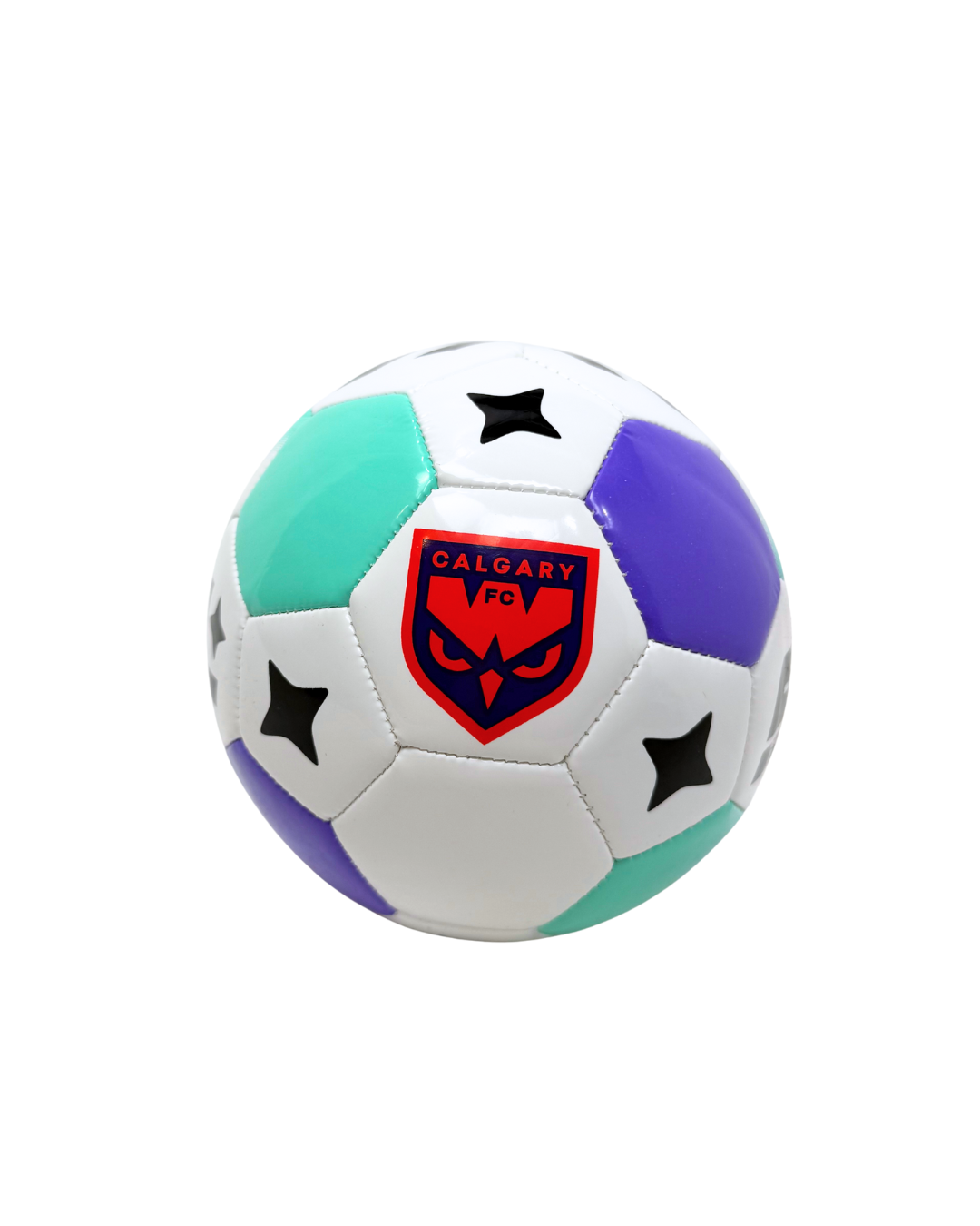 WILD FC -  NSLxHUMMEL MINI BALL