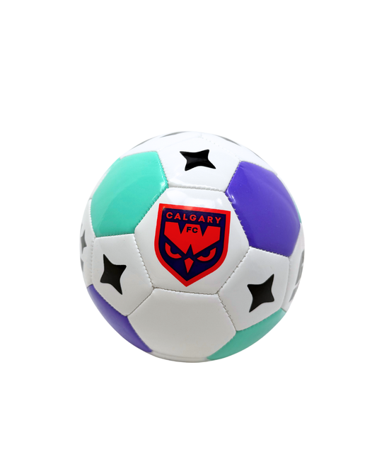 WILD FC -  NSLxHUMMEL MINI BALL