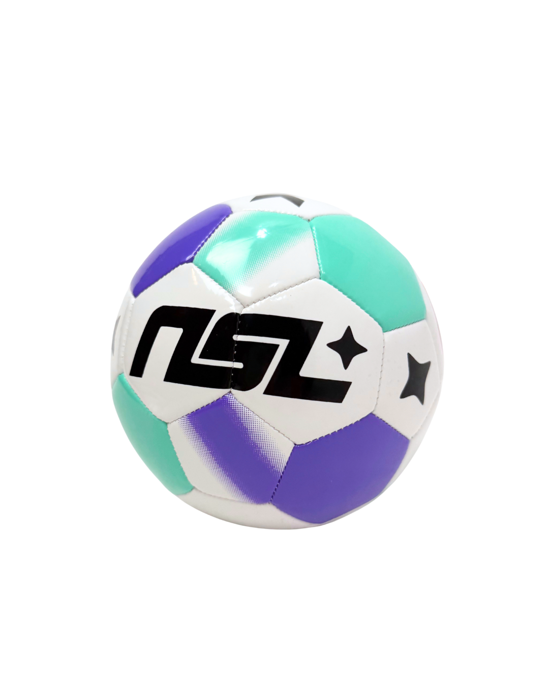 WILD FC -  NSLxHUMMEL MINI BALL