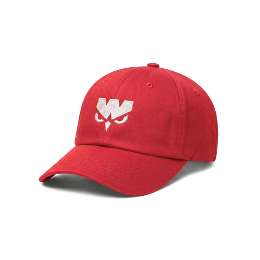 WILD FC DAD HAT 2.0